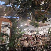 Inside at Terrarea in Matosinhos