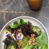   at Terrarea in Matosinhos