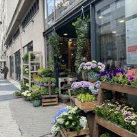 What a beautiful place for a meal and coffee ☕️   at Terrarea in Matosinhos