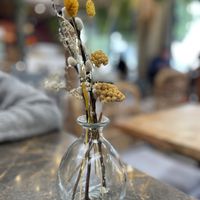 💫   at Terrarea in Matosinhos