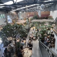   at Terrarea in Matosinhos