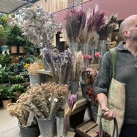   at Terrarea in Matosinhos