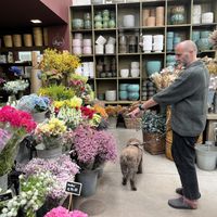   at Terrarea in Matosinhos