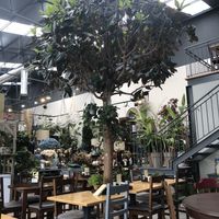 Beautiful atmosphere at Terrarea in Matosinhos