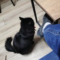  at Ankara Falafelcisi in Ankara