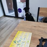  at Ankara Falafelcisi in Ankara