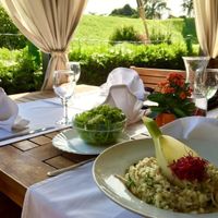 Vegan vegetable rissotto in fennel at Bedem in Varazdin