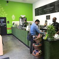 Counter service at Bodhi Bowl LA in Los Angeles