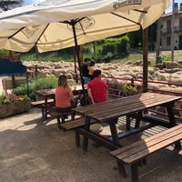 A large flock of sheep (and misbehaving goats) passed in front of the restaurant while we’re enjoying our incredible meal.  So much fun! at Ecosteria Parco Santi Angeli in Santi Angeli