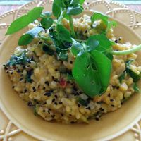 Risoto fantástico! at Amora Gastronomia e Arte in Sao Carlos