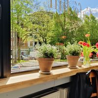  at Cafe Juli in Aachen