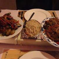 Chinese noodles with slices of soy and vegetables at Yuan in Lelystad