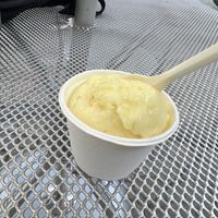 Lucky Lemon sorbet   at Monkeywrench in Salt Lake City