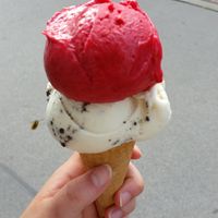 😍 at Veganista Ice Cream V in Vienna