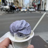 Lavendel Kokos at Veganista Ice Cream V in Vienna