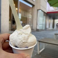 Kokos Lavendel at Veganista Ice Cream V in Vienna