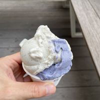 Vanille lavendel at Veganista Ice Cream V in Vienna