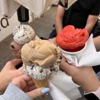  at Veganista Ice Cream V in Vienna