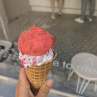  at Veganista Ice Cream V in Vienna
