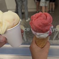  at Veganista Ice Cream V in Vienna