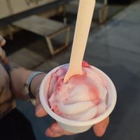  at Veganista Ice Cream V in Vienna