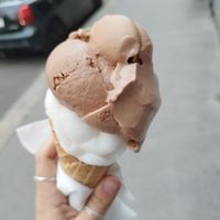 Lemon, zotter at Veganista Ice Cream V in Vienna