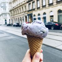 Muffin ice cream at Veganista Ice Cream V in Vienna