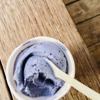 Berry-Lavender at Veganista Ice Cream V in Vienna