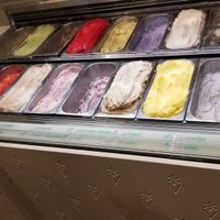 Flavors at Veganista Ice Cream V in Vienna
