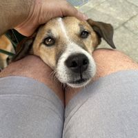   at Cafe Brooks in Hamburg