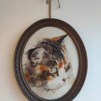  at O Porto dos Gatos in Porto