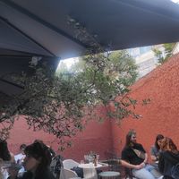  at O Porto dos Gatos in Porto