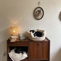   at O Porto dos Gatos in Porto