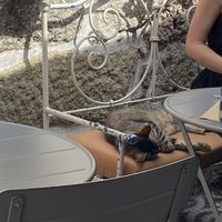   at O Porto dos Gatos in Porto