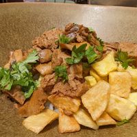  at O Porto dos Gatos in Porto