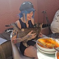   at O Porto dos Gatos in Porto