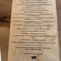  at O Porto dos Gatos in Porto