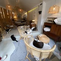   at O Porto dos Gatos in Porto