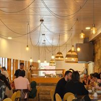  at O Porto dos Gatos in Porto