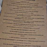  at O Porto dos Gatos in Porto