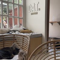   at O Porto dos Gatos in Porto