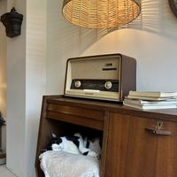   at O Porto dos Gatos in Porto