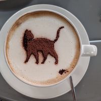  at O Porto dos Gatos in Porto