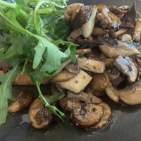 Mushroom starter dish  at Sorella Sorella in Gateshead