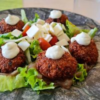  at Veggie Penguin in Tenerife