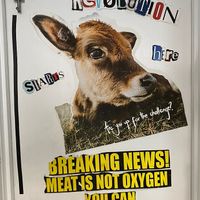   at Shift Eatery in Surry Hills