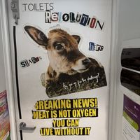   at Shift Eatery in Surry Hills