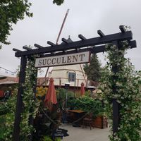 Open for lunch and dinner at Succulent Cafe in Solvang
