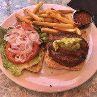 Vegan Beyond Burger with Fries at Succulent Cafe in Solvang