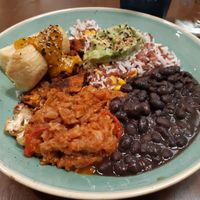 Avocado box omitting the egg and with jackfruit stew instead at Avocado in Barcelona